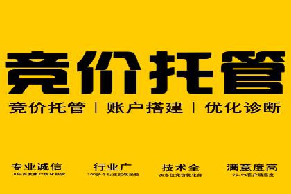 谷歌竞价实战：广告预算分配与效果评估